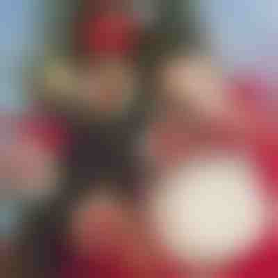 Decoração de Natal DIY (30 Peças) | ORNAMENTIFY