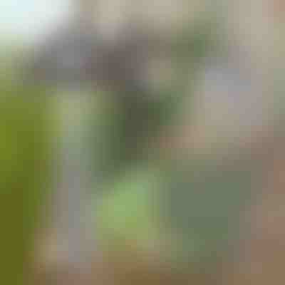 Enxada de jardim para remoção fácil de ervas daninhas | GRASSOE